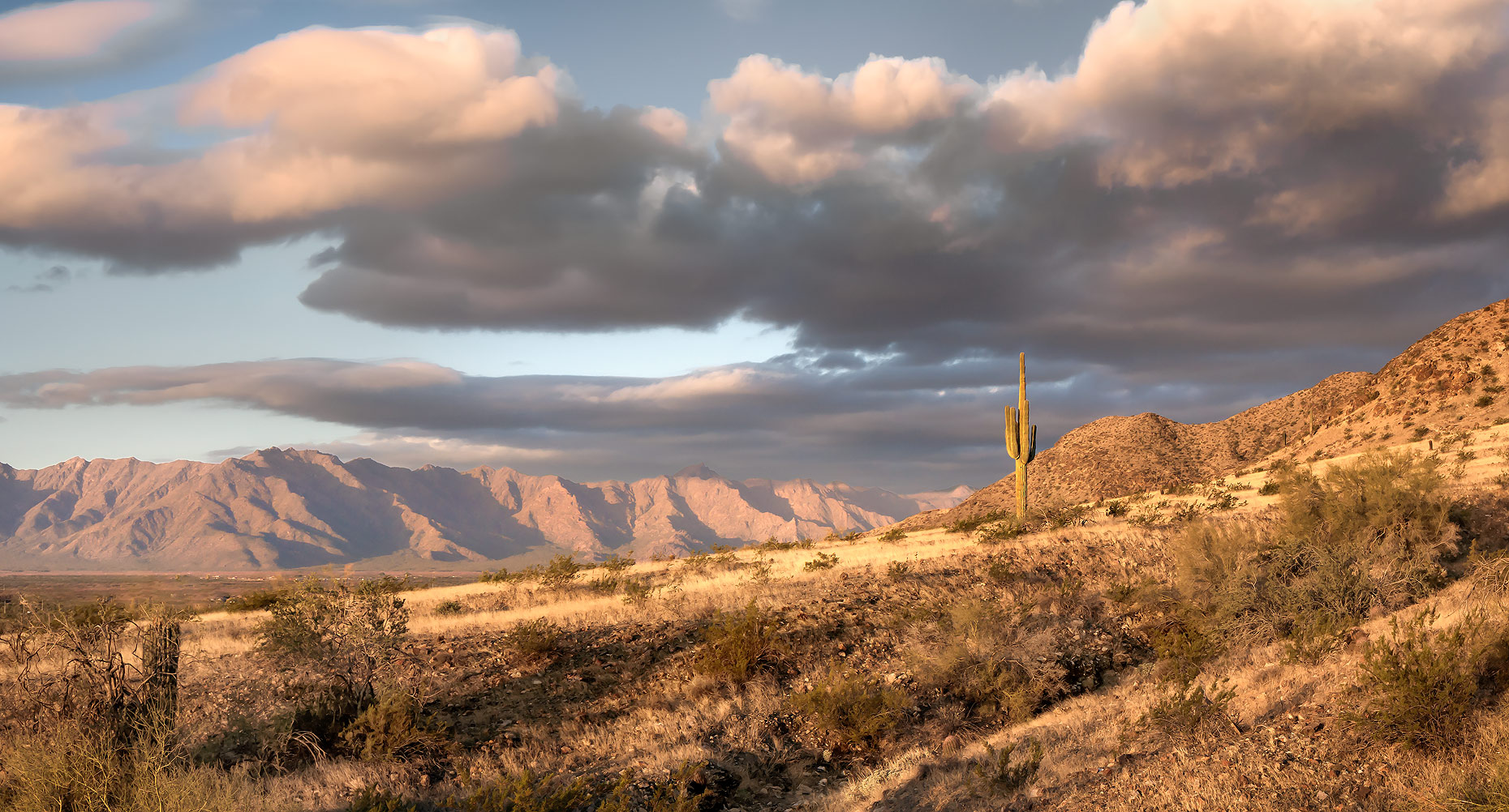 Arizona Desert - South Mountain Park & Preserve